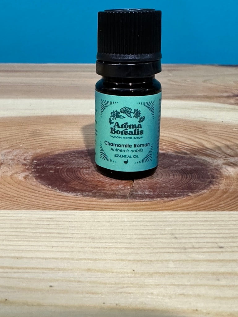 Chamomile Roman Essential Oil