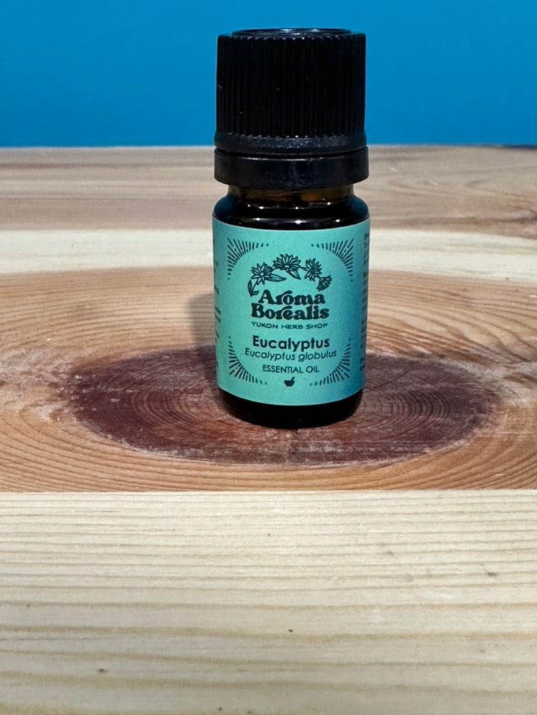 Eucalyptus Globulus Essential Oil