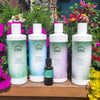 Spruced Up Organic Shampoo