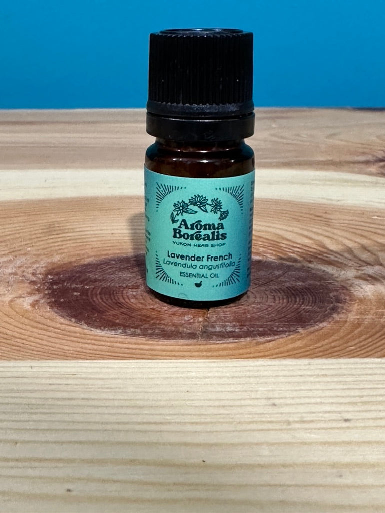 Lavender French Essential Oil