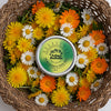 Wild Dandelion Daisy Calendula Balm