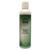 Spruced Up Organic Shampoo