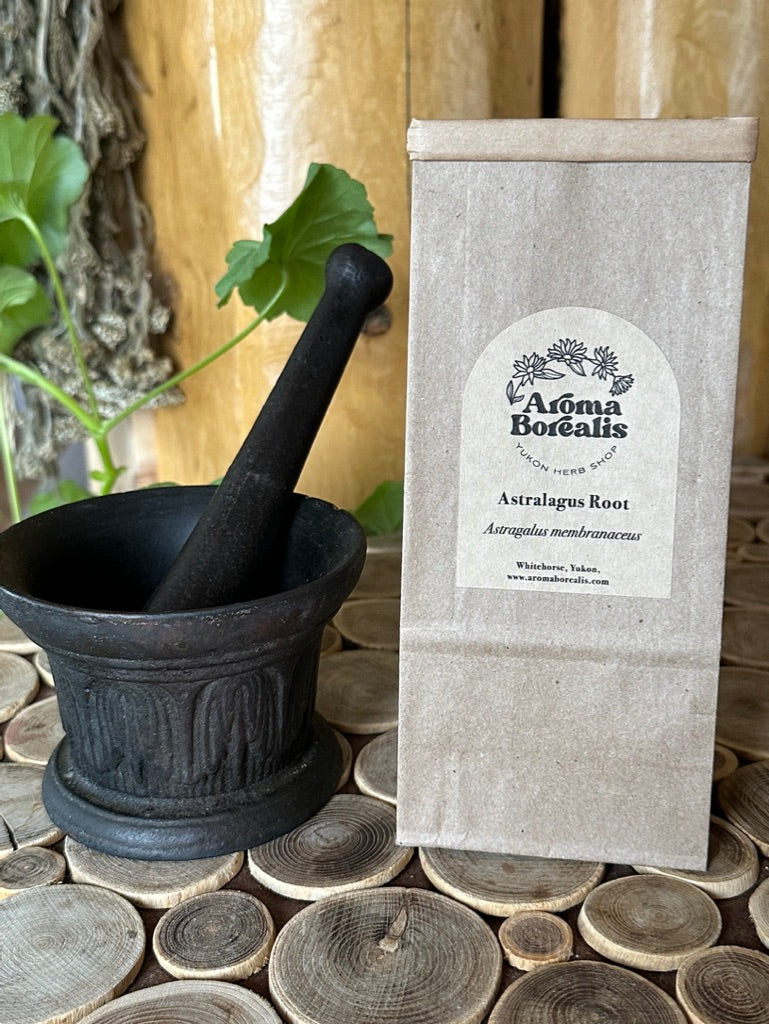Astragalus