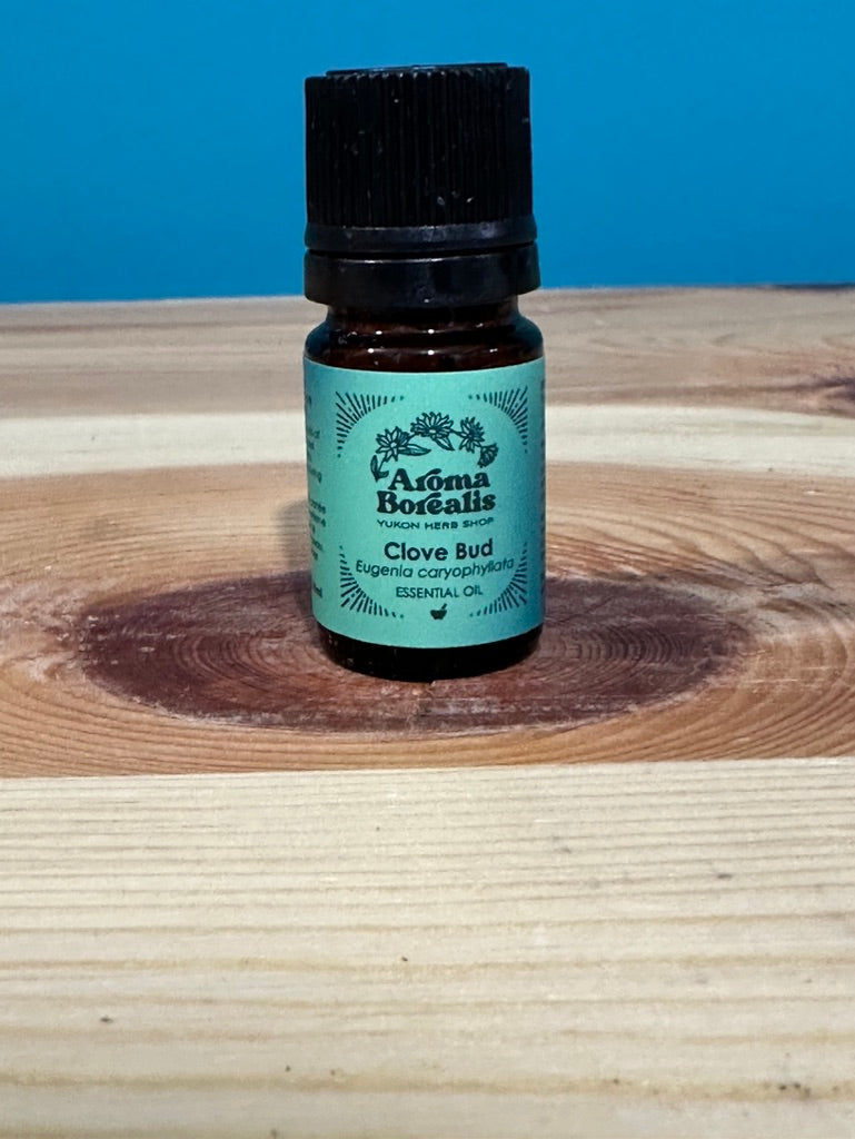 Clove Bud Essential Oil