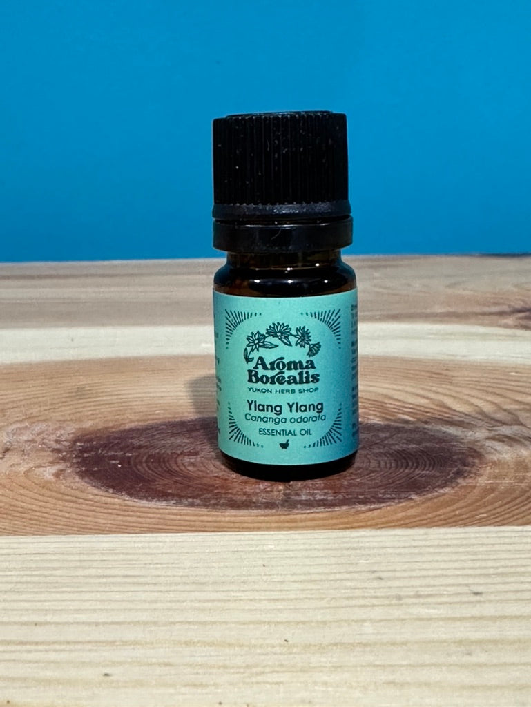 Ylang Ylang Essential Oil