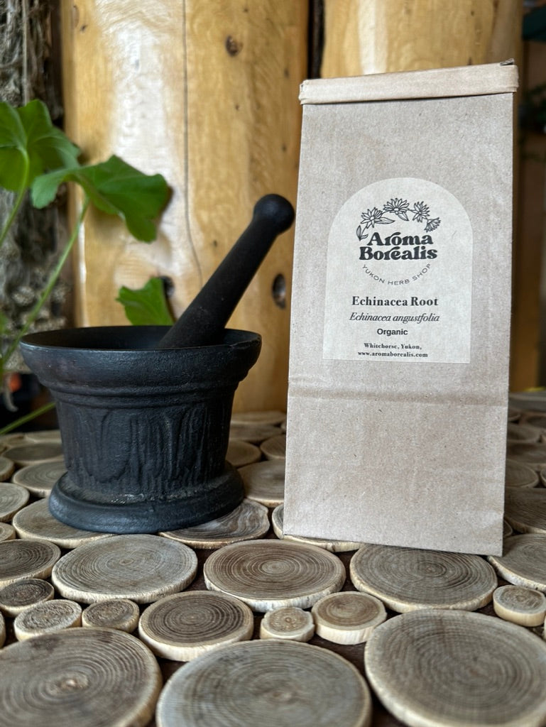 Echinacea Root