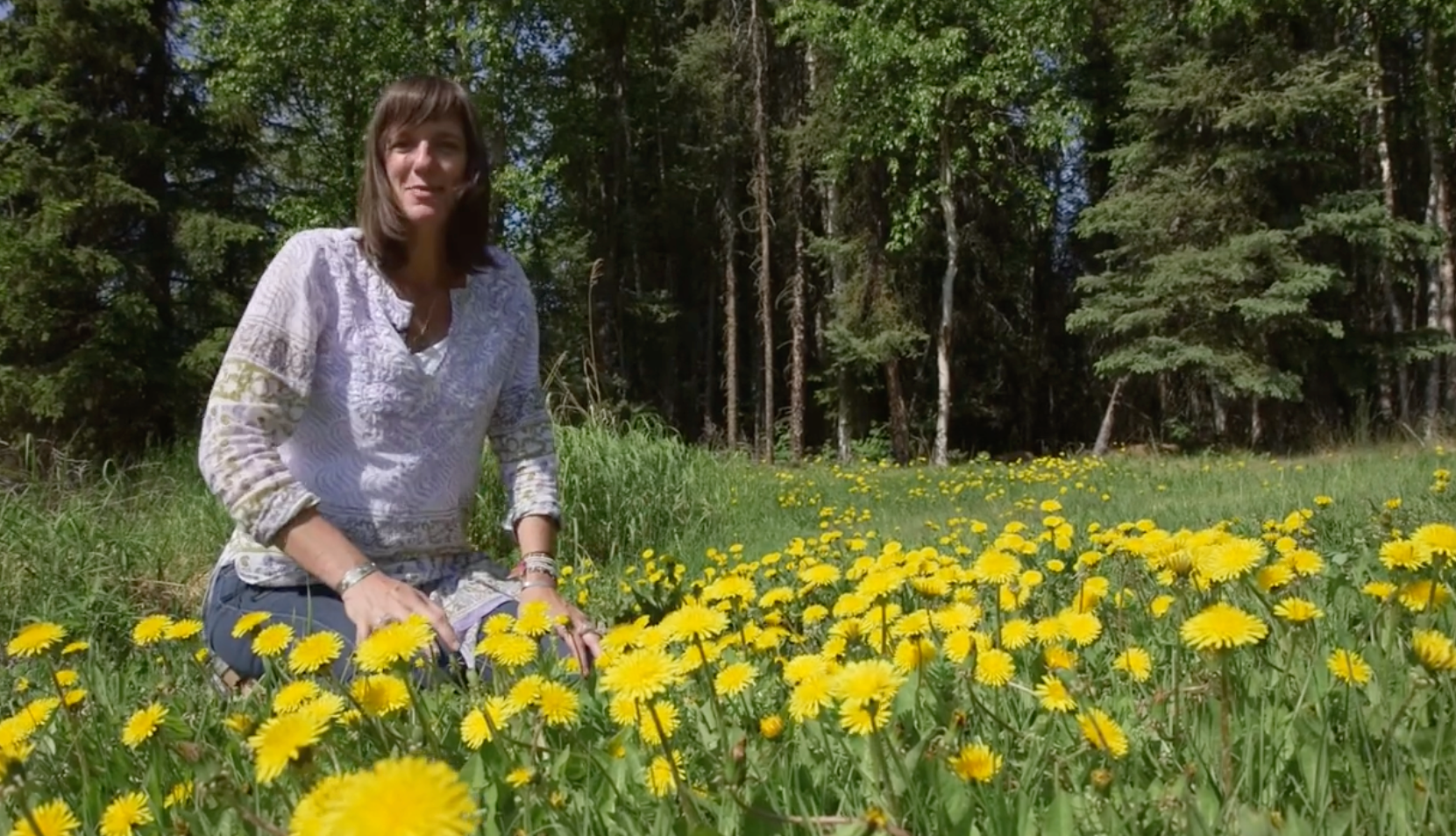 Episode 3 – Harvesting Fireweed and Medicine-Making