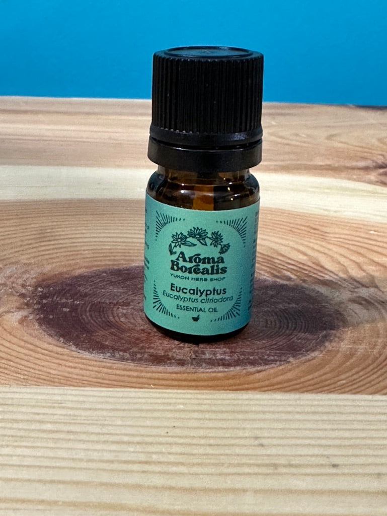 Eucalyptus Citradora Essential Oil