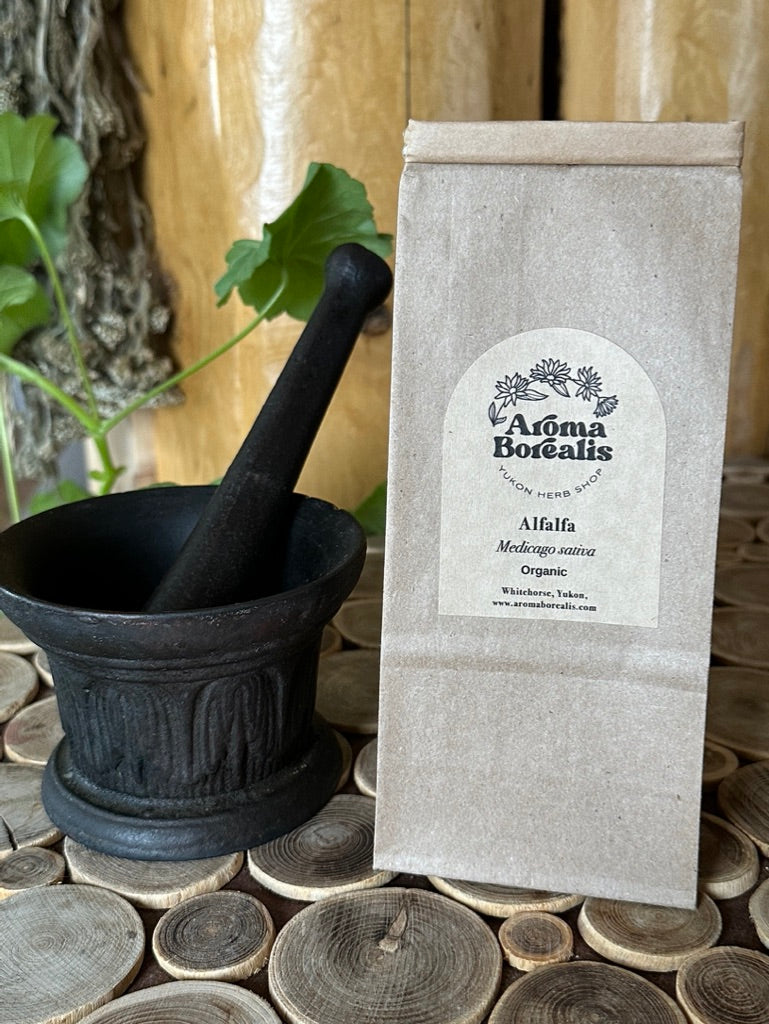 Alfalfa