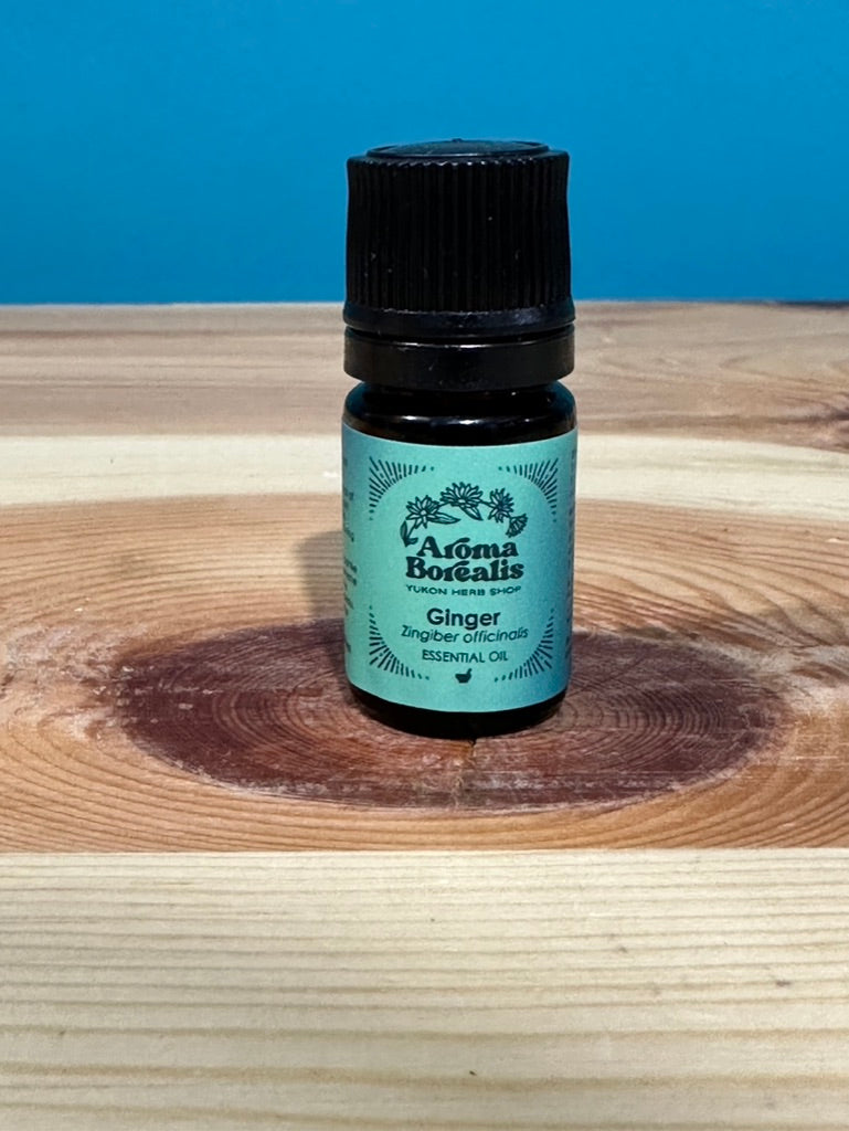 Ginger Essential Oil