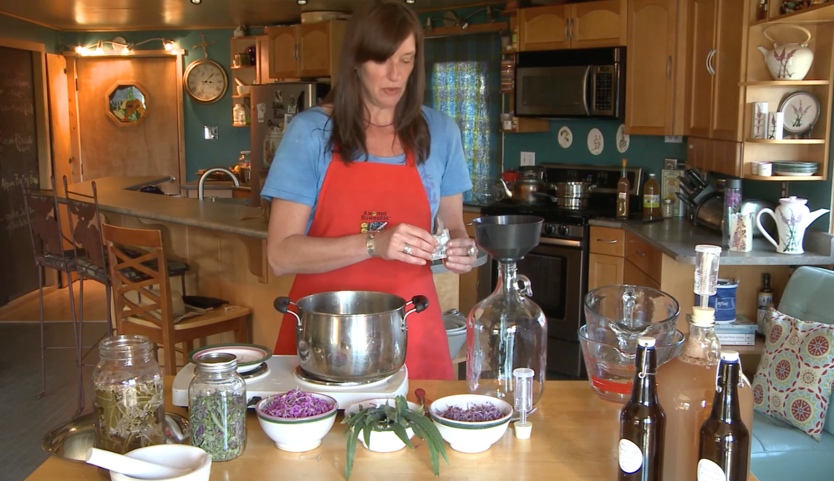 Episode 3 – Harvesting Fireweed and Medicine-Making