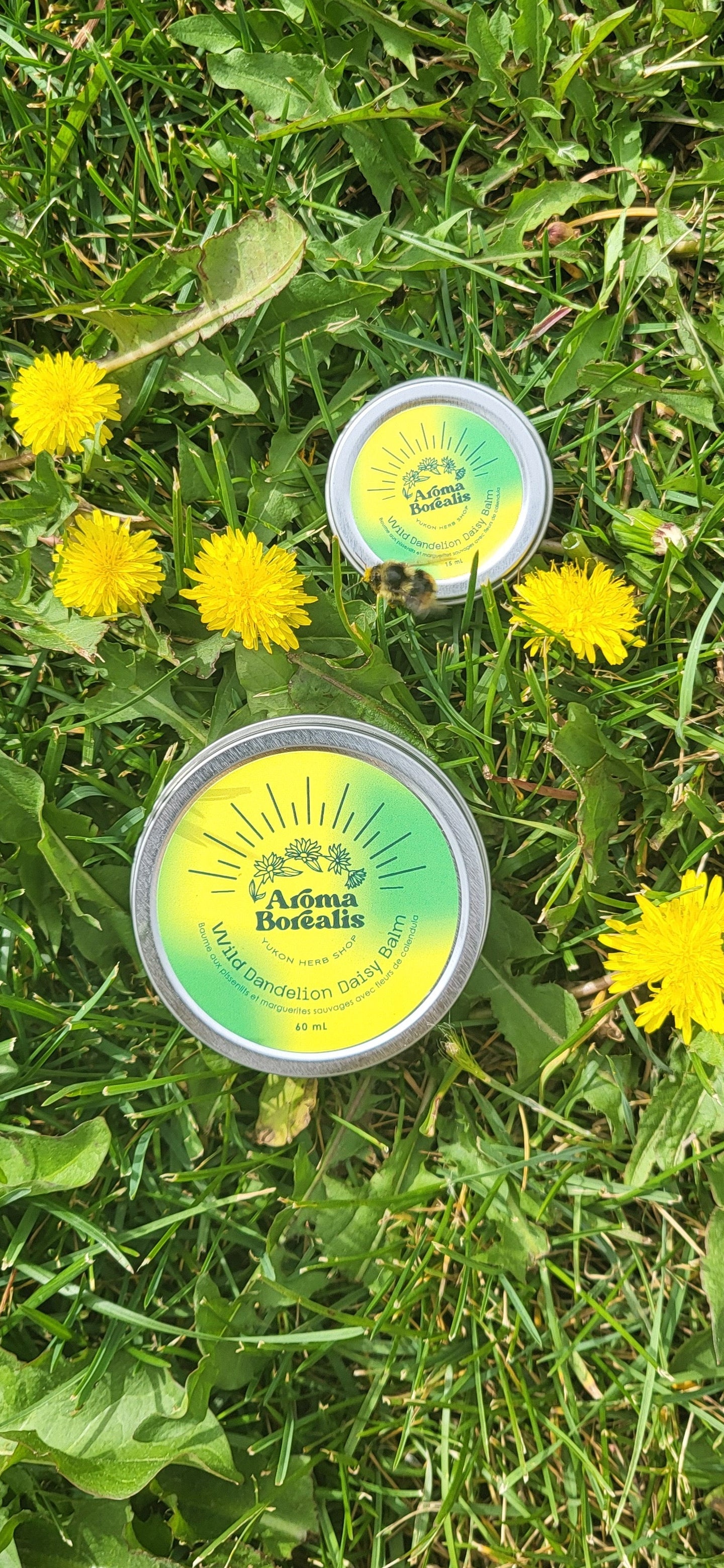 Wild Dandelion Daisy Calendula Balm