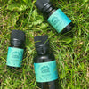 Spruce Black Essential Oil