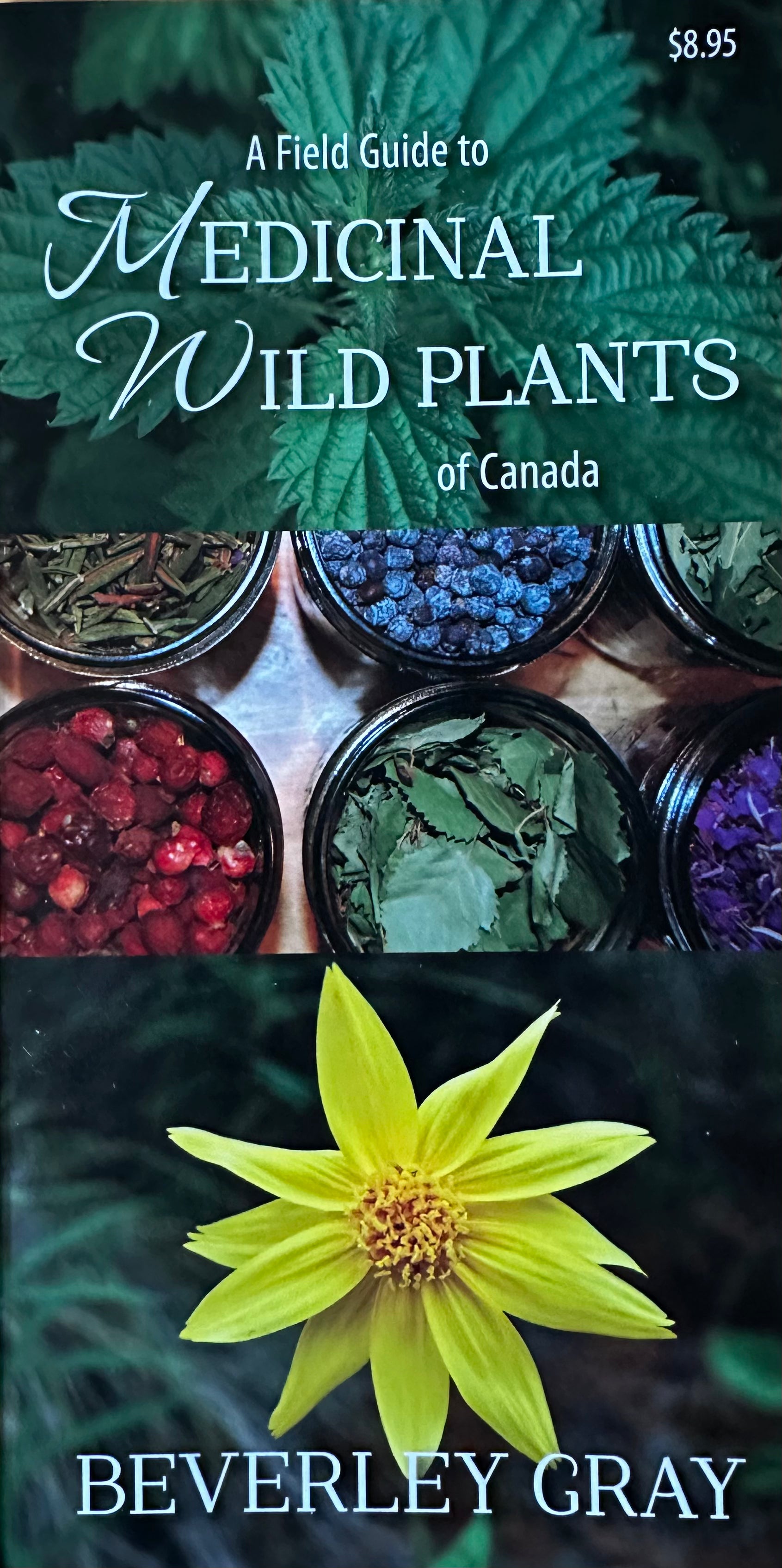 A Field Guide to Medicinal Wild Plants of Canada
