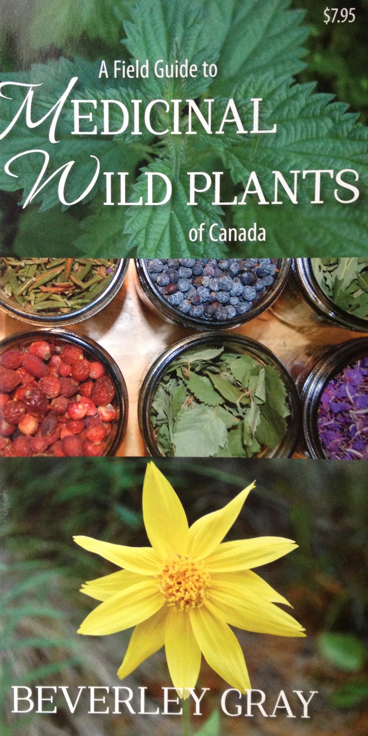 Book cover of 'A Field Guide to Medicinal Wild Plants of Canada' by Beverley Gray, featuring images of plants and a yellow flower.